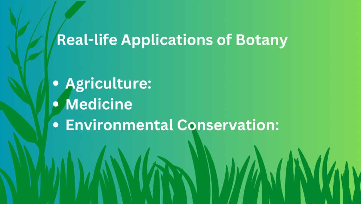 Botany Tutor online: Cultivating a Love for Plant Science