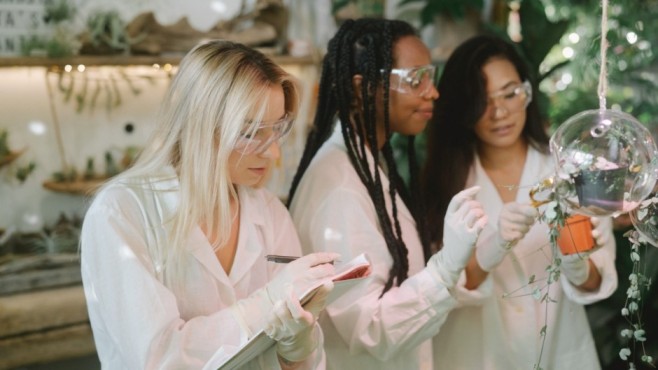 botanists examining plant